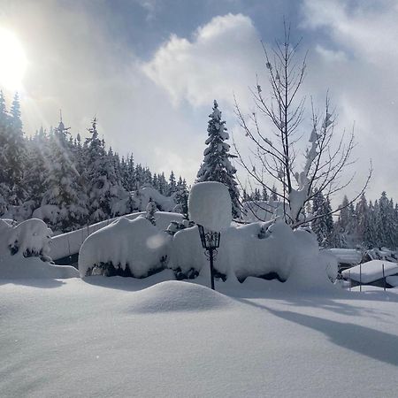 Appartementhaus Hochkoenig - Panoramablick มึลบาค อัม โฮคเคอนิก ภายนอก รูปภาพ