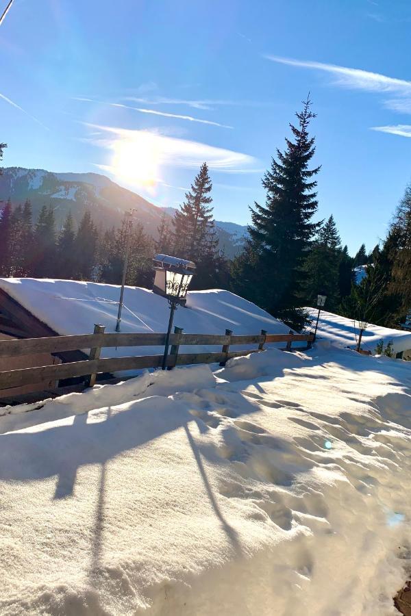 Appartementhaus Hochkoenig - Panoramablick มึลบาค อัม โฮคเคอนิก ภายนอก รูปภาพ