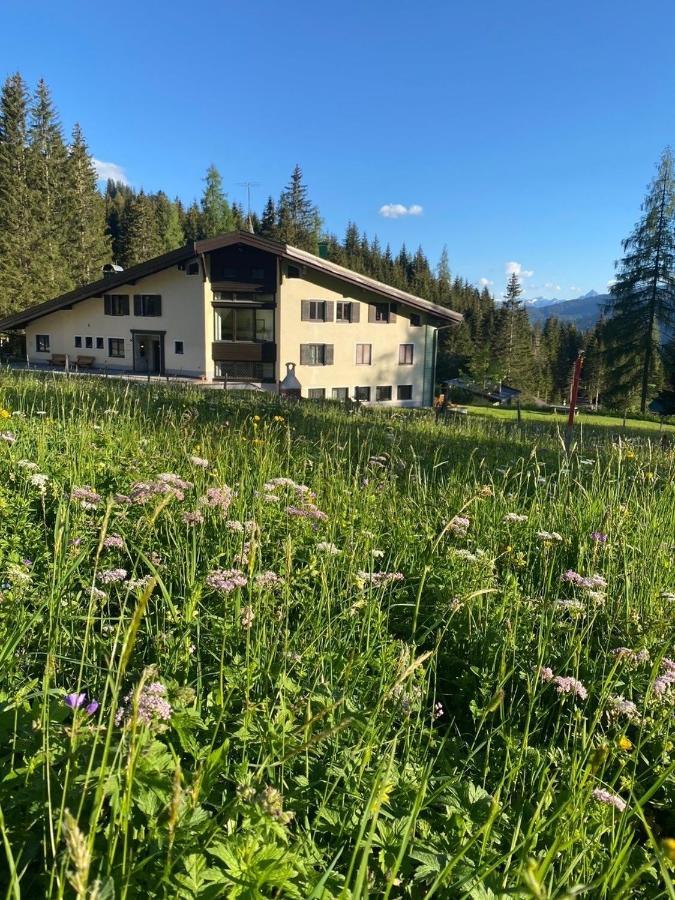 Appartementhaus Hochkoenig - Panoramablick มึลบาค อัม โฮคเคอนิก ภายนอก รูปภาพ
