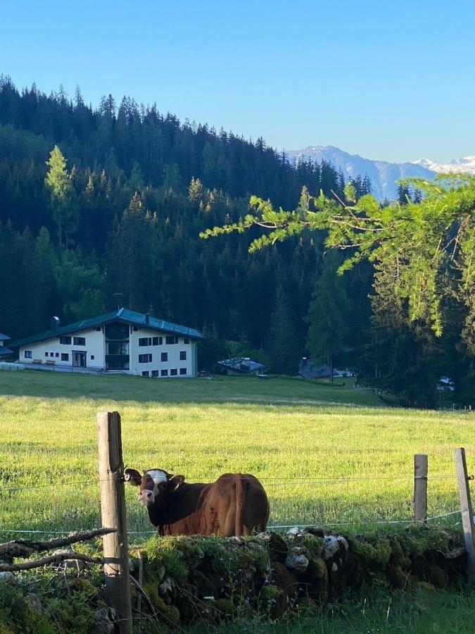 Appartementhaus Hochkoenig - Panoramablick มึลบาค อัม โฮคเคอนิก ภายนอก รูปภาพ