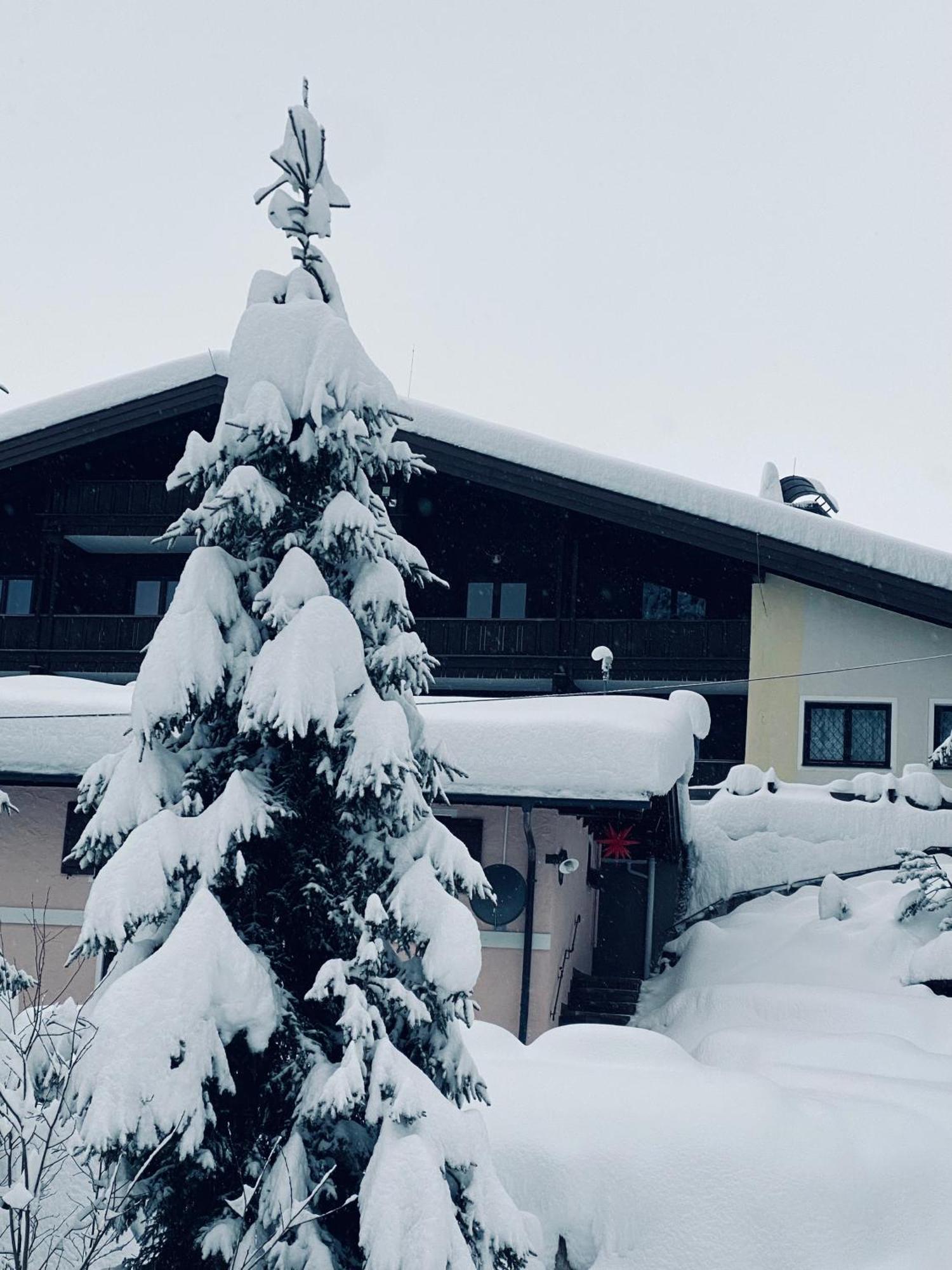 Appartementhaus Hochkoenig - Panoramablick มึลบาค อัม โฮคเคอนิก ภายนอก รูปภาพ