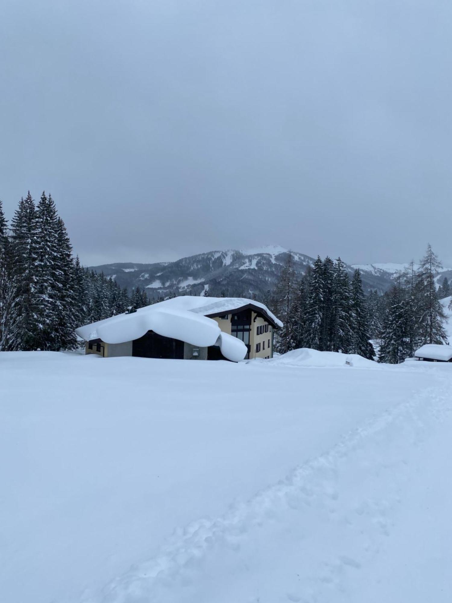 Appartementhaus Hochkoenig - Panoramablick มึลบาค อัม โฮคเคอนิก ภายนอก รูปภาพ