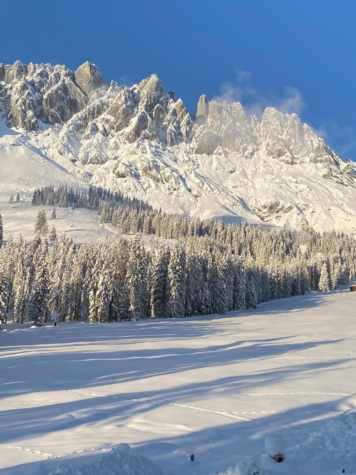 Appartementhaus Hochkoenig - Panoramablick มึลบาค อัม โฮคเคอนิก ภายนอก รูปภาพ
