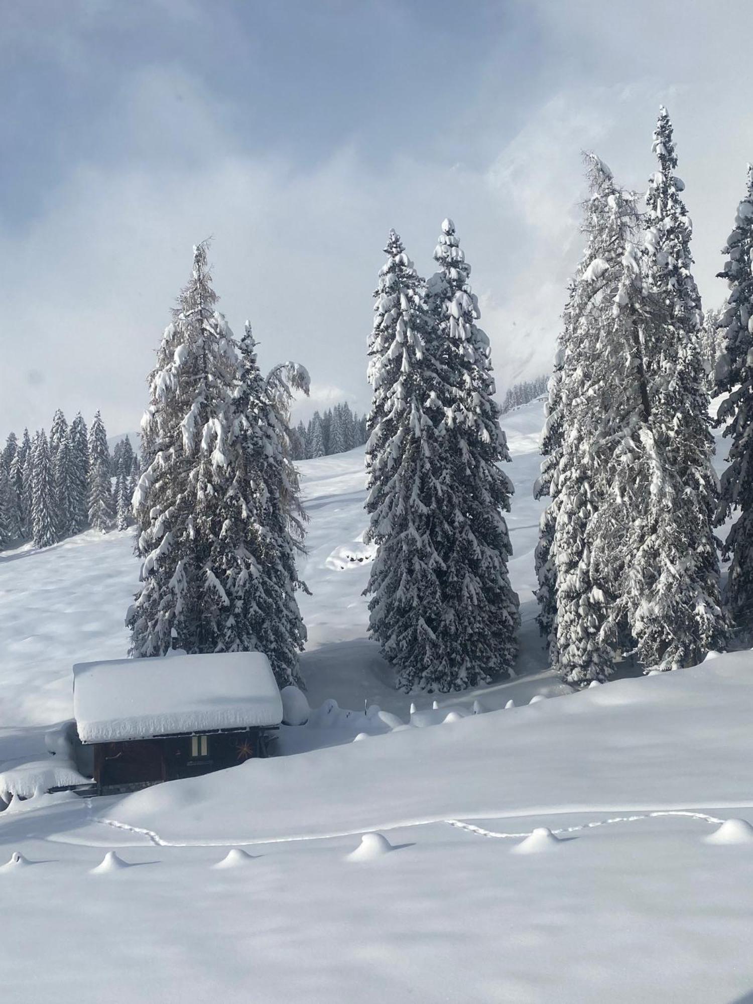 Appartementhaus Hochkoenig - Panoramablick มึลบาค อัม โฮคเคอนิก ภายนอก รูปภาพ