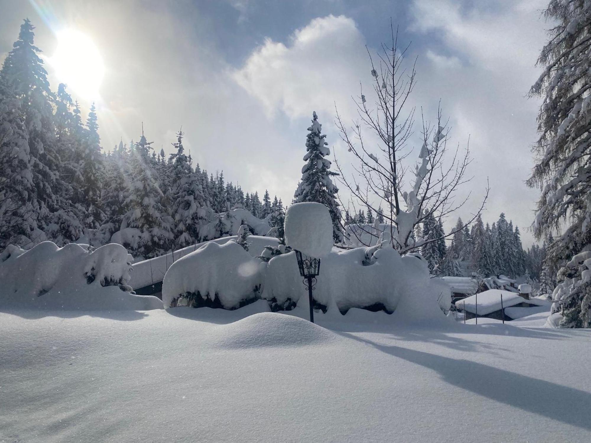 Appartementhaus Hochkoenig - Panoramablick มึลบาค อัม โฮคเคอนิก ภายนอก รูปภาพ